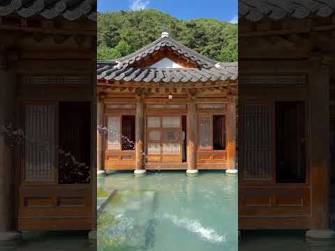 [Korea Travel - Wanju] Venha ao Hanok Cafe onde você toma um wherry @ssunday_k