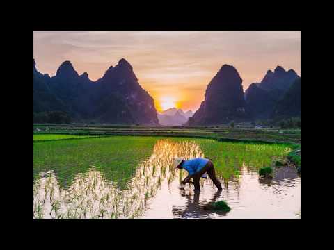 Orde-E - Grades7-8 - 2019