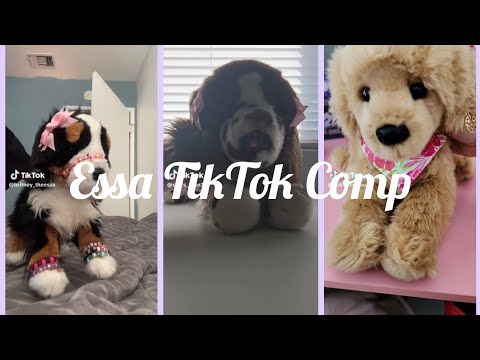 Essa TikTok Comp | none are mine | credits to original owners
