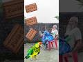 Rounding parle g biscuits to Duck,  Peacock, Pigeon & Parrot - Birds names magic video
