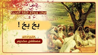 معنى الحشف والبخبخة | فوائد وروائع اللغة العربية | د. مصطفى مخدوم image