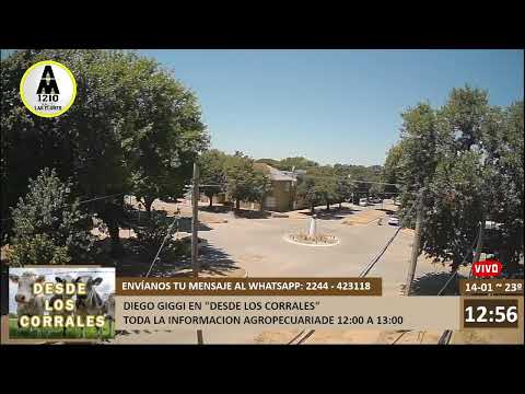 Radio  Las Flores - AM 1210 - FM Cóndor 89.7 - EN VIVO -