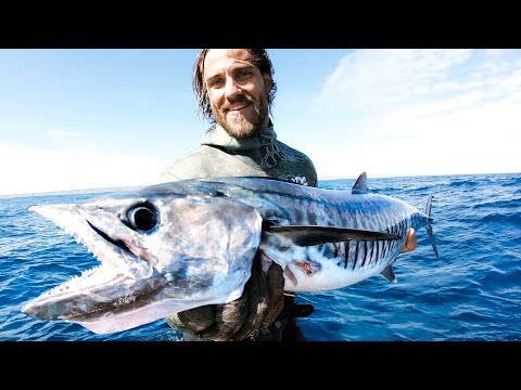 JETSKI SPEARFISHING Big Mack Burgers Catch And Cook (Amazing Manta Rays) - Ep 111