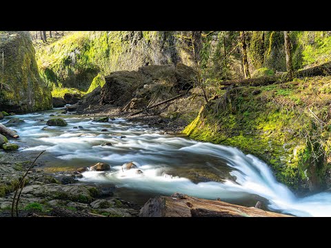 Eagle Creek Trail - The Best Oregon Hike? | Chris Goes Solo Hiking