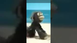 Download lagu ewe ewe de mp3