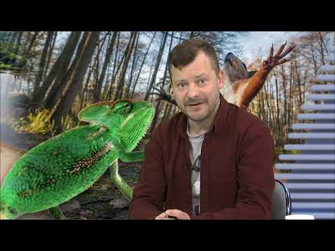 Foliarze, fajnopolacy i inne zjawiska społeczne - Karnkowski | U Jaoka, odc. 3