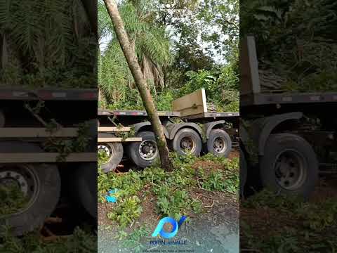 Uma tragédia foi registrada na BR-153, no Norte de Goiás, em Santa Tereza. Pai, mãe e um filho d