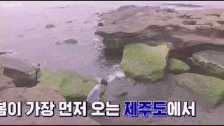 [FMV] Yesung ♡ Kyuhyun – At the Time (그때로)