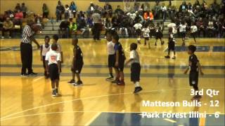 preview picture of video '2015 Matteson Bulls - Game 4 @ Park Forest Illini - 1/30/15'