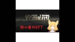 【タルコフ(EFT)】初心者が頑張る。