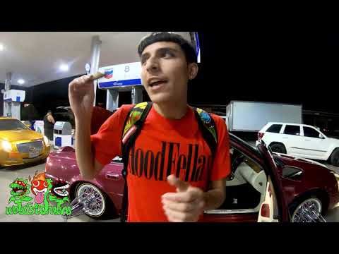 Sauce bhrazy x crash tsf official sauce Sunday vlog weedstonians 📺