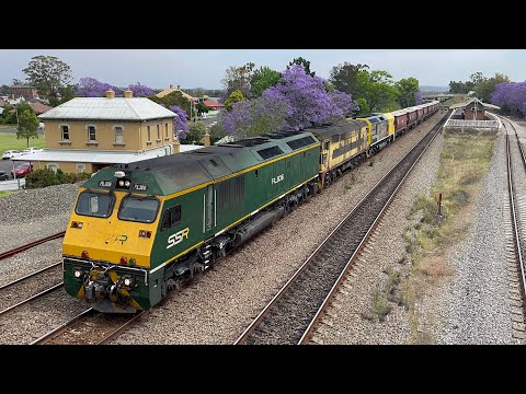 SSR RL306, 44204 & RL304 (level crossing awareness livery) with 5446N Grain at East Maitland