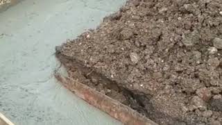 Album cover: Planning permission & Building Control Approval for Single Storey Rear Extension Full internal Refurb and Loft Conversion