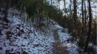 preview picture of video 'Mountain Bike Ride - Pisgah Forest, NC - 02/17/2013'