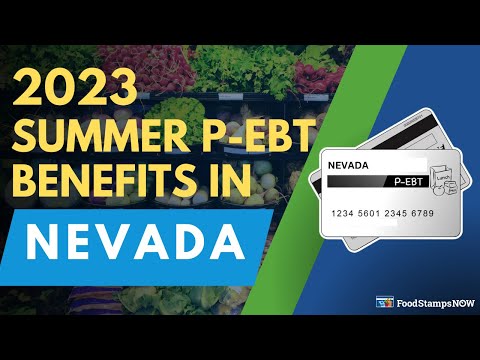 Nevada P Ebt Summer 2023