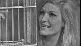 Le Petit Perroquet Music Video