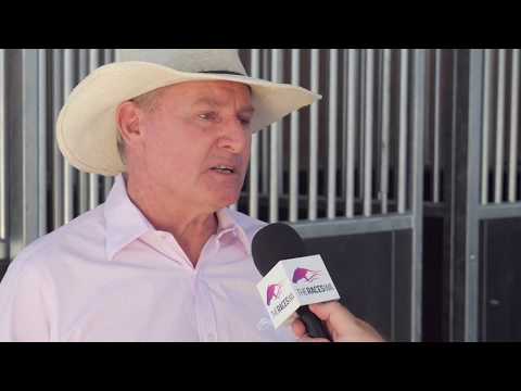 Magic Millions new sale yard complex in the Swan Valley