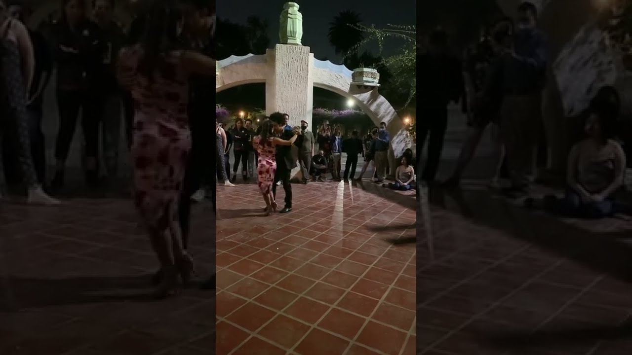 Video thumbnail for Gaby Mataloni & Vinicius Souza - Milonga del Parque México 2022 1/3