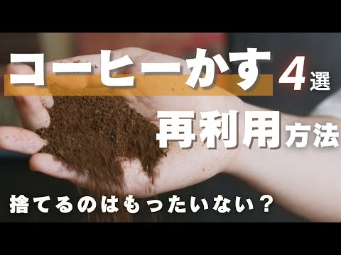 コーヒー粕の植物のための庭のヒント