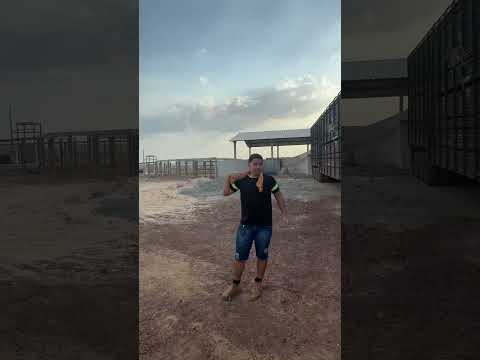 Carregado de garrotes para Miranorte-Tocantins #boiadeiros #pecuarista #volvocaminhões