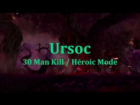 [RoN] Heroic Ursoc 30 man Balance Druid POV