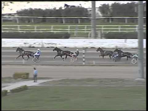 Trotto 15/01/2015 - 1° Corsa