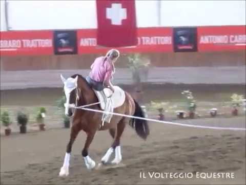CVI Portogruaro 2016 - Volteggio - Ind 2* j F - 23° Maja Kainz