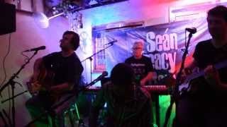 Seán Treacy Band - Boys of Summer (Don Henley)