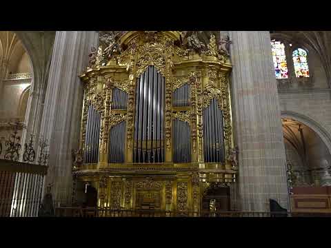 Tiento de medio registro No. 29 | Francisco Correa di Arauxo, 1584-1654 | Segovia Cathedral, Spain