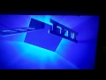 New Line Home Entertainment