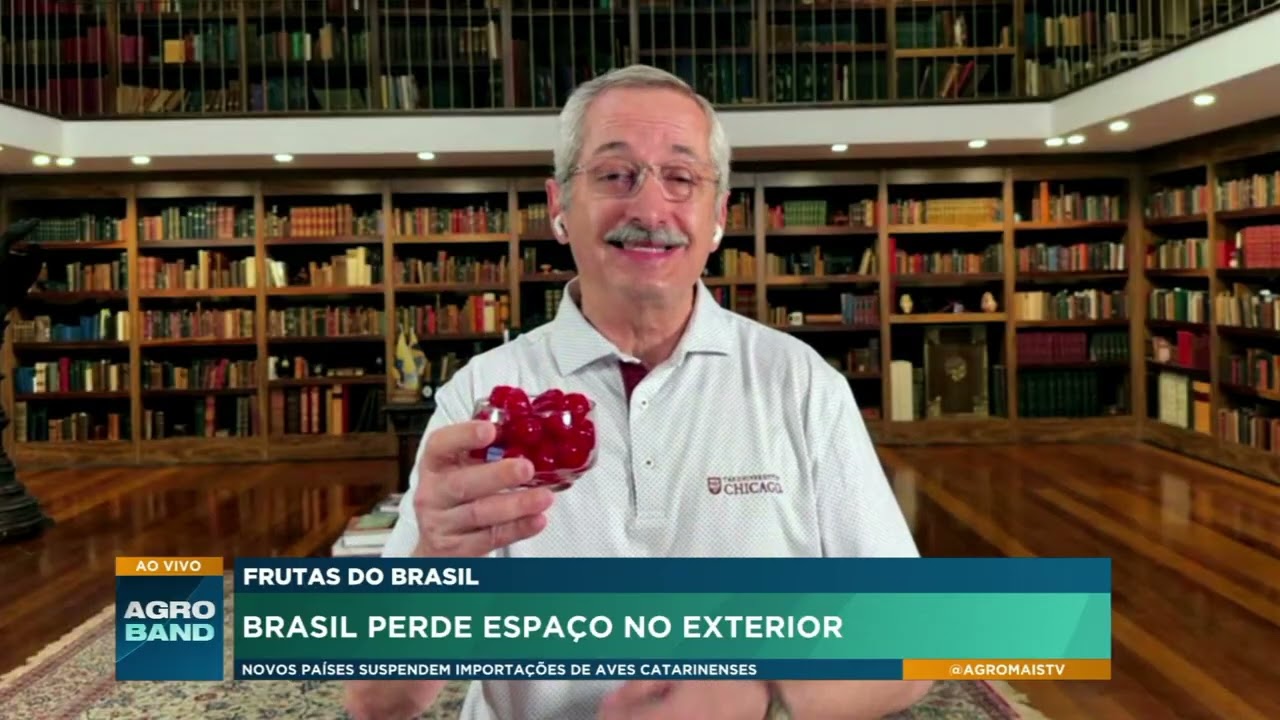 Exportações de frutas brasileiras faturam mais, mas volume embarcado recua