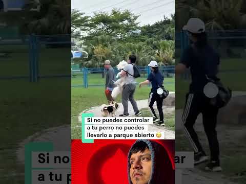 Que abrías hecho tu? 🤔 #fypシ #animales #viralshort