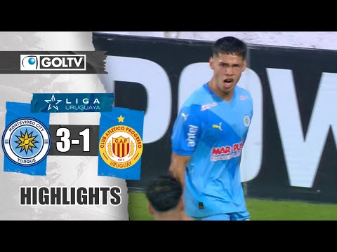 bg-highlight