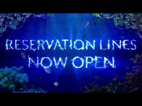 The wait is finally over - Reserve a table today