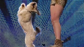 Ashleigh and Pudsey - Britain&#39;s Got Talent 2012 audition - UK version