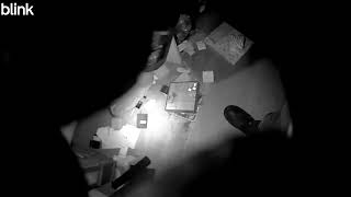Surveillance Video of Burglary