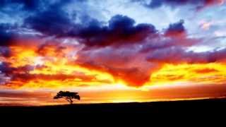 Boards Of Canada - Nothing Is Real (Planet Earth)