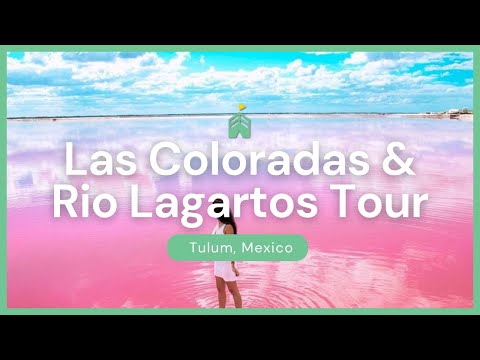 Visit Las Coloradas & Rio Lagartos - Pink Lakes of the Yucatan