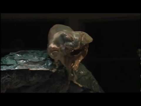 Skullmonkeys (1-18) Opening + Science Center + Cutscene do feijão