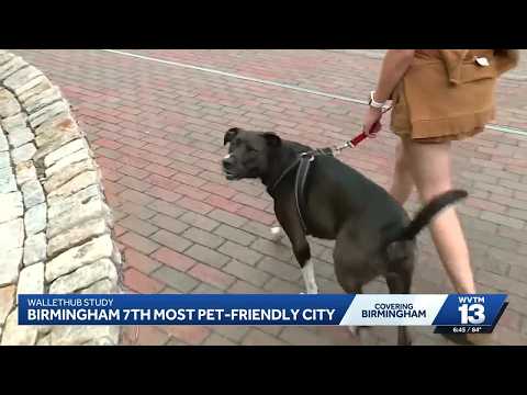 Birmingham Pets Craigslist