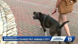 Birmingham ranked 7th most pet-friendly city in the U.S.
