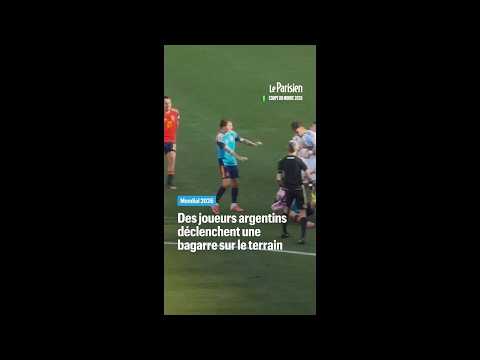 Mondial : des joueurs argentins s'en prennent aux Espagnols à la fin du match
