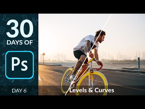 How to Use Levels Curves in Photoshop | Day 6