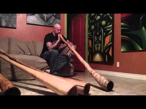 Agave Didgeridoo