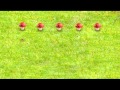 Sesame Street 17 Mushrooms