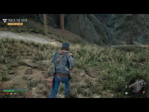 DAYS GONE HUNTING MECHANICS ARE SAME AS THAT OF RDR2
