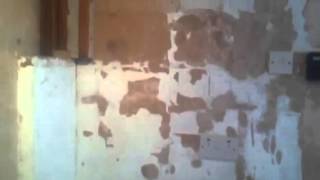 Album cover: Videos from Alfa plastering