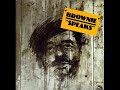 BROWNIE Mc GHEE - Blues Had A Baby