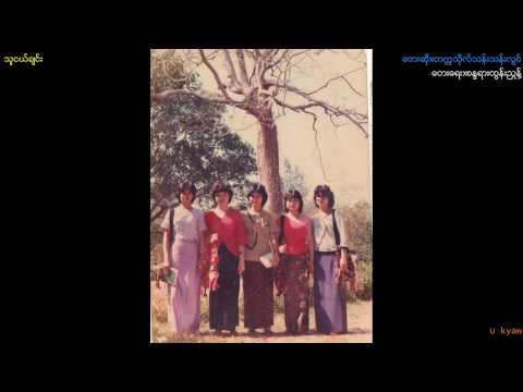 Tet Ka Tho Than Than Lwin-"The Nge Chin"