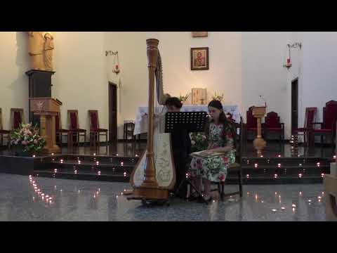 Maria Bildea plays Sonata in D minor, K 9, L 413 by Domenico Scarlatti